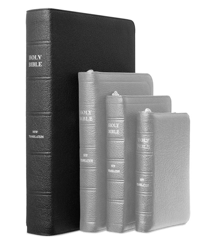 J.N. Darby Extra-large family  Bible (No. 35) Semi-yapp binding 2022 Ed. (Case of 10)
