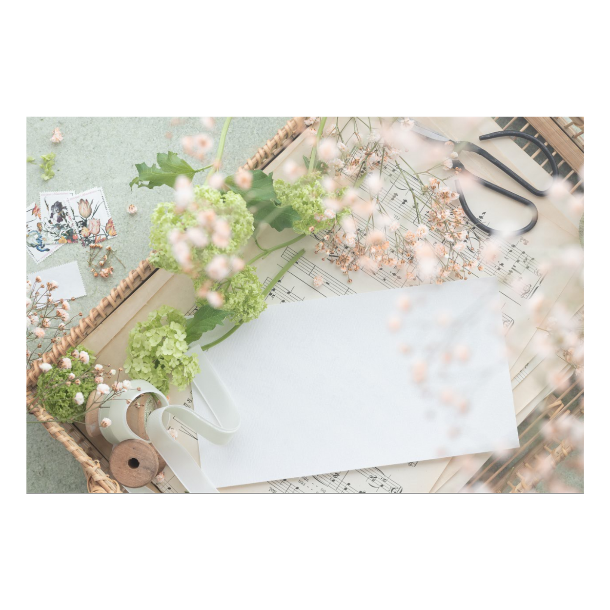 Zela Spring Song Placemats 25pk (Case of 2)