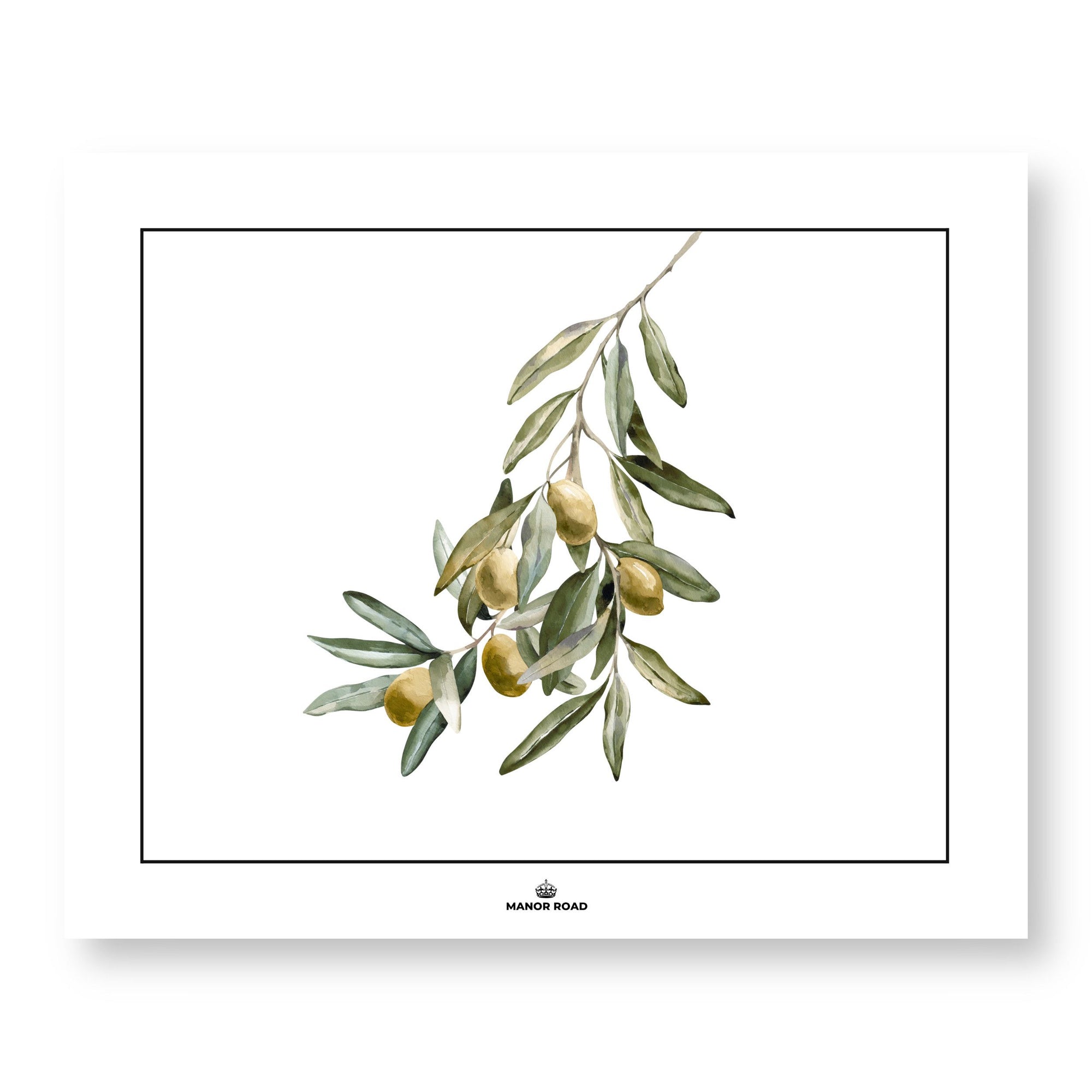 Manor Road Wild Olives Placemats 30Pk (Case of 2)