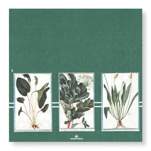 Manor Road Verde Cocktail Napkins 20Pk (Case of 6)