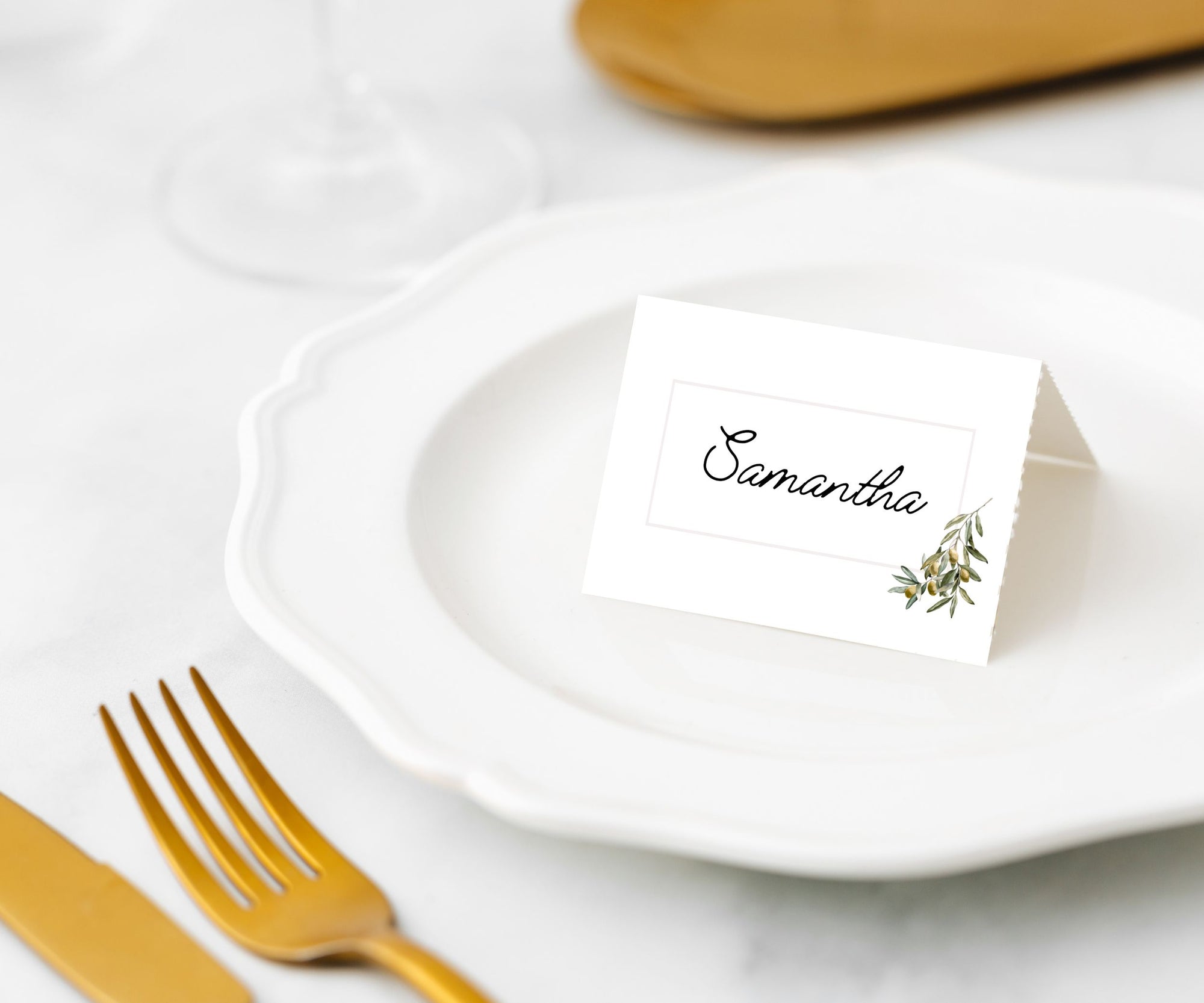 Manor Road Wild Olives Place Cards 45Pk (Case of 2)