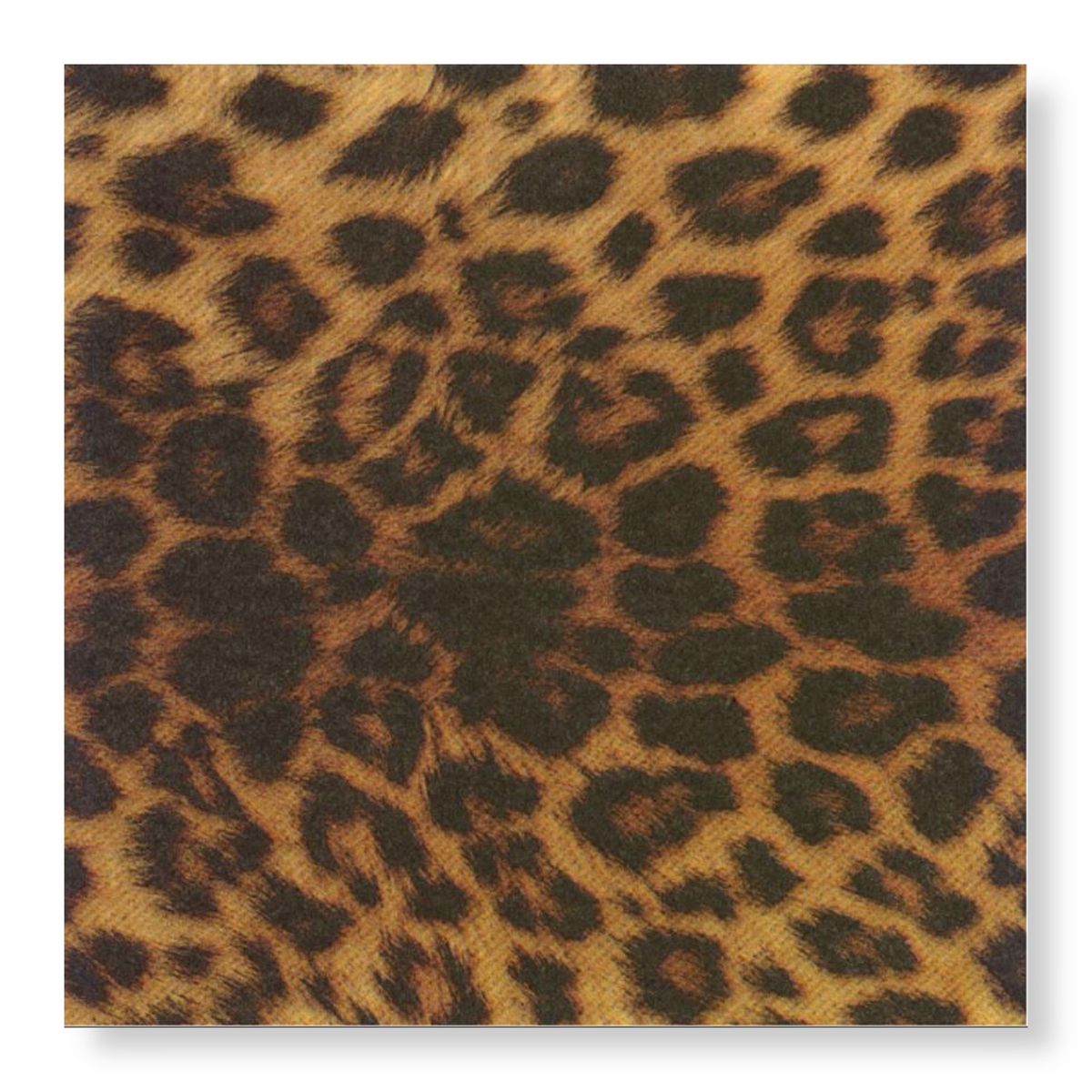 Manor Road The Leopard Dinner Napkins 20Pk (Case of 6)
