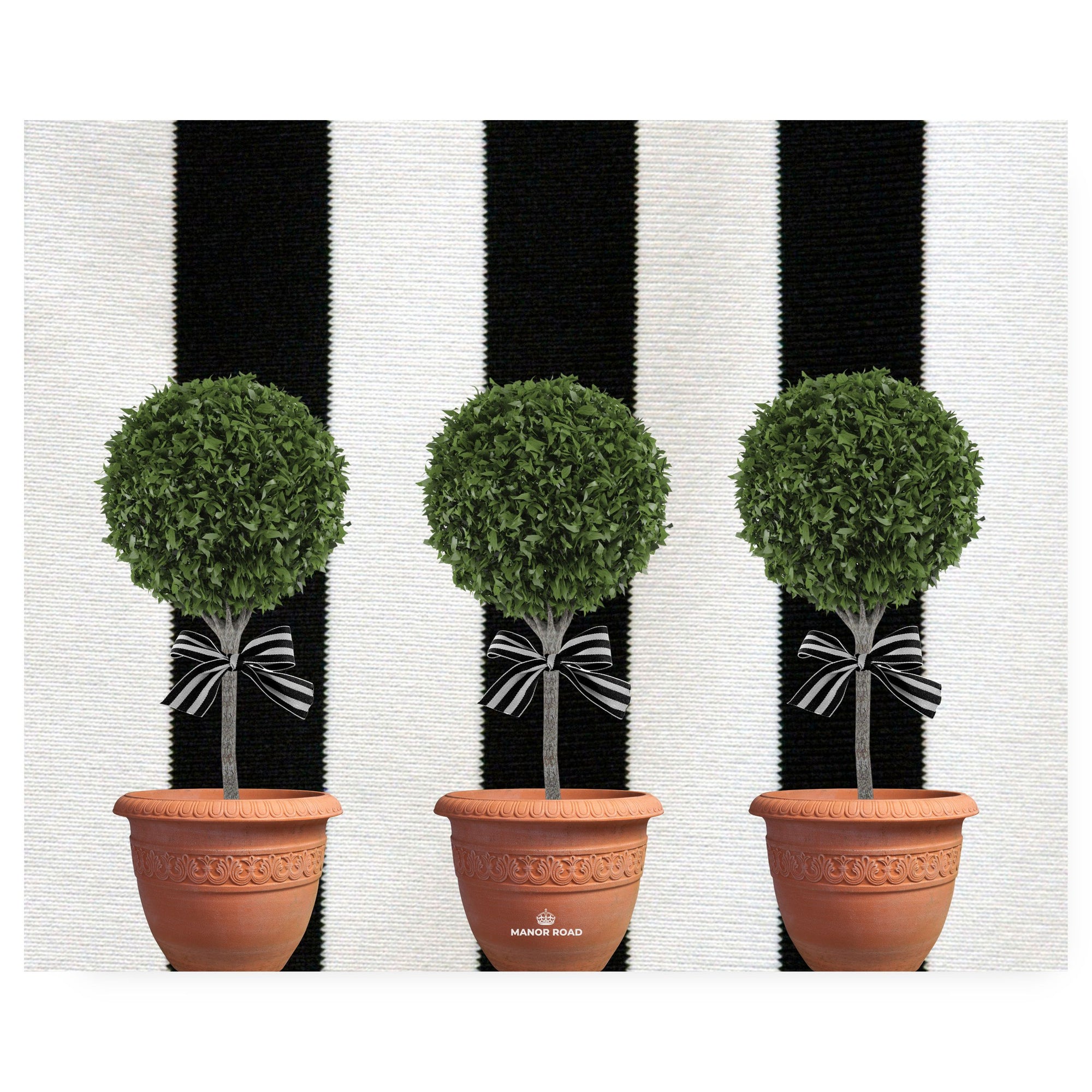 Manor Road Topiary Paper Placemats 30Pk (Case of 2)
