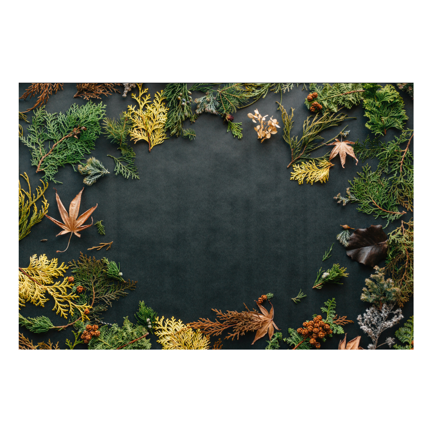 Zela Fall Foliage Placemats 25pk (Case of 2)