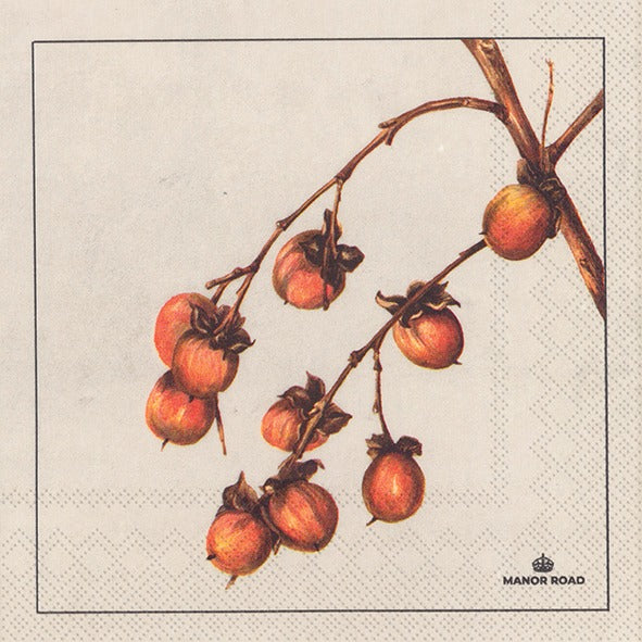 Manor Road Persimmon Cocktail Napkins 20Pk (Case of 6)