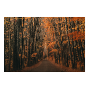 Zela Autumn Glow Placemats 25pk (Case of 2)